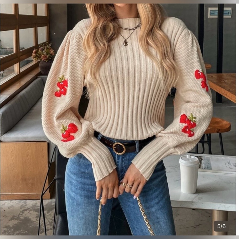 SHEIN Essence Ribbed Knit Embroidery Strawberry Lantern Sleeve Sweater